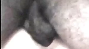 ميغان هولي