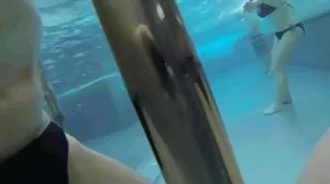 الجسم المثالي