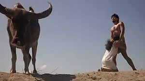 سيسي كابيلا