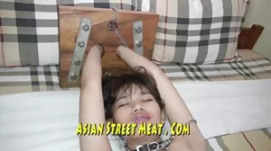 ستايسي بلوم