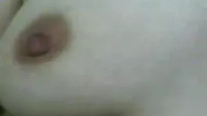 سلون هاربر