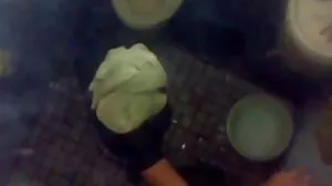 مادي سكوت