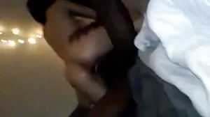 مز داني